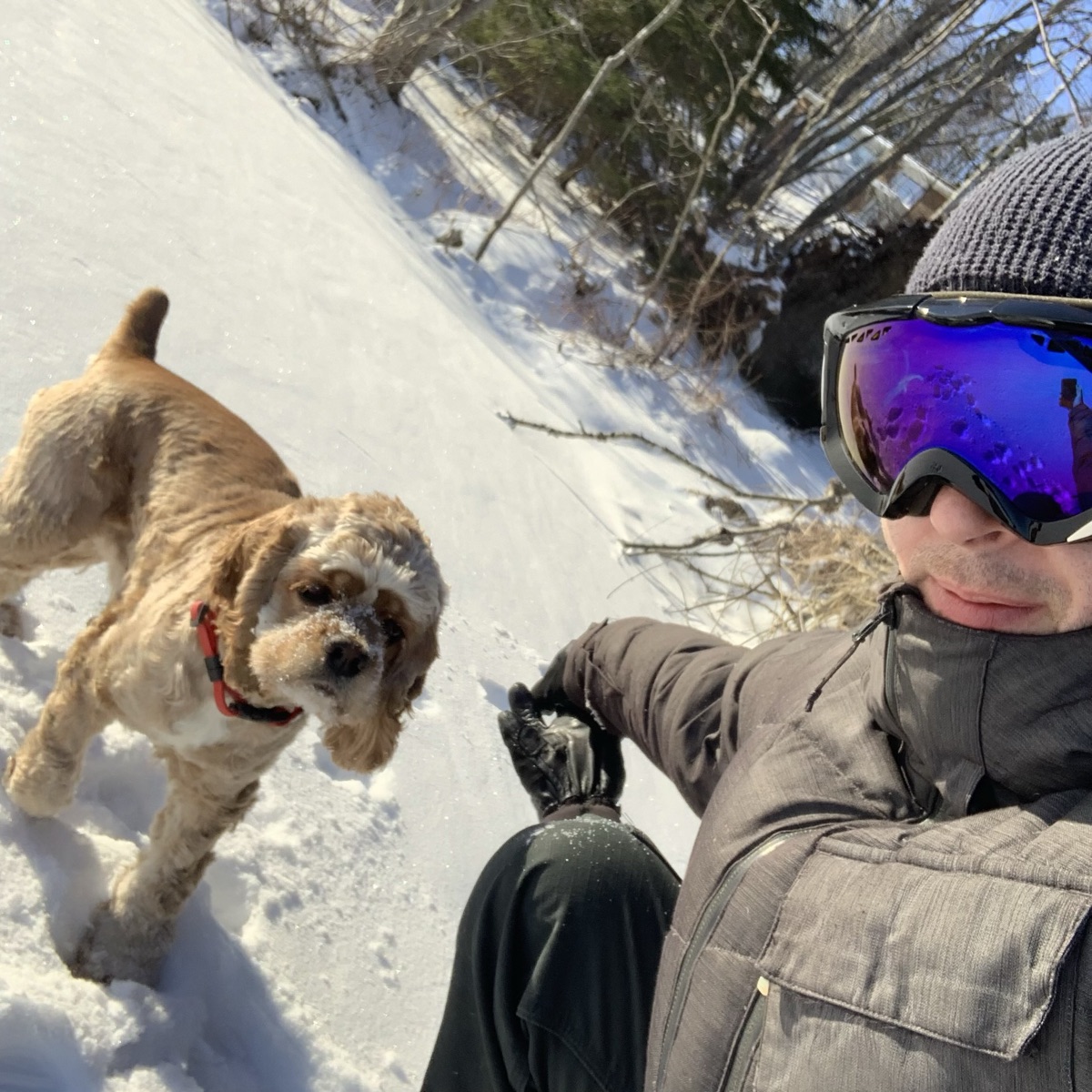 Aaron and his dog Alfred in the snow